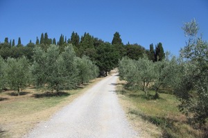 Xtrallusion offers independent self-guided Walking, Adventure, Activity, Skiing and Paragliding Holiday itineraries on the Italian Rivieras, in the Italian Lakes, in the Italian Alps and in some of the most beautiful corners of Italy.